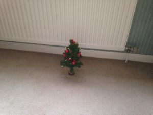 1469848_10152463892362571_82684131_n