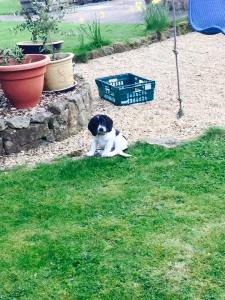 11150422_10152791865865823_3948710494923580285_n