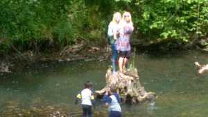 WP_20150615_13_17_59_Pro[1]