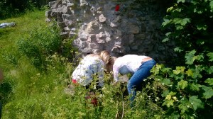 WP_20150616_10_59_29_Pro