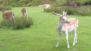 WP_20150623_11_43_51_Pro