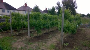 WP_20150626_15_20_39_Pro