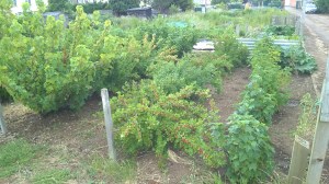 WP_20150626_15_21_00_Pro