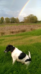 WP_20151006_17_02_06_Pro