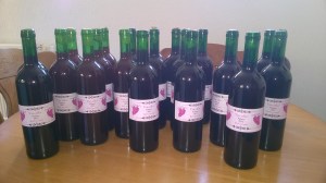 WP_20151101_12_04_20_Pro[1]