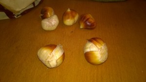 WP_20151101_16_04_43_Pro[1]