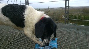 WP_20151210_11_35_10_Pro[1]