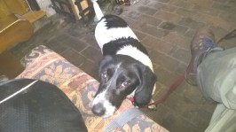 WP_20151210_12_07_55_Pro[1]