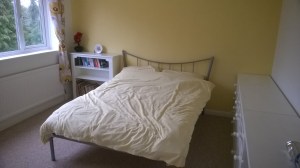 WP_20151221_12_54_40_Pro[1]