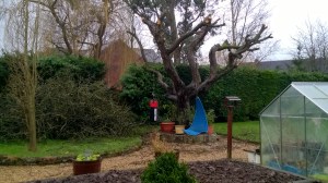 WP_20160103_14_10_59_Pro[1]