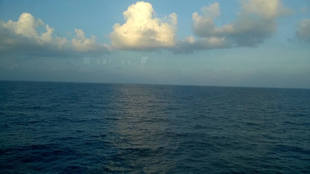 WP_20160311_18_01_46_Pro