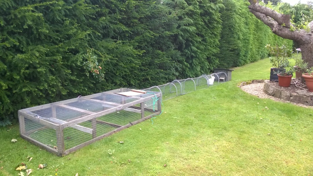 WP_20160805_11_44_44_Pro[1]