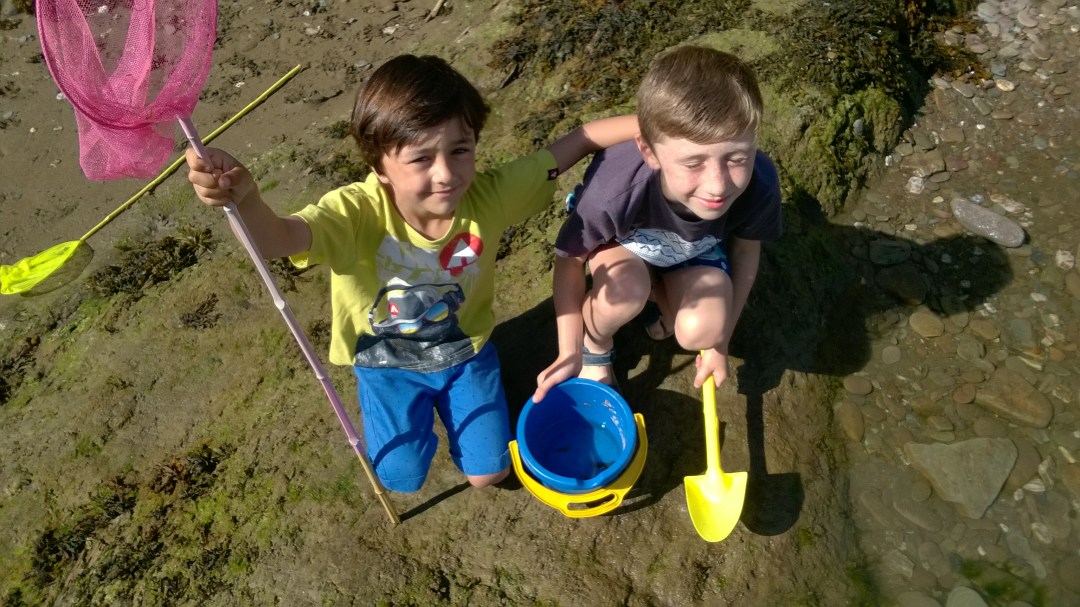 WP_20160816_10_31_14_Pro_LI[1]