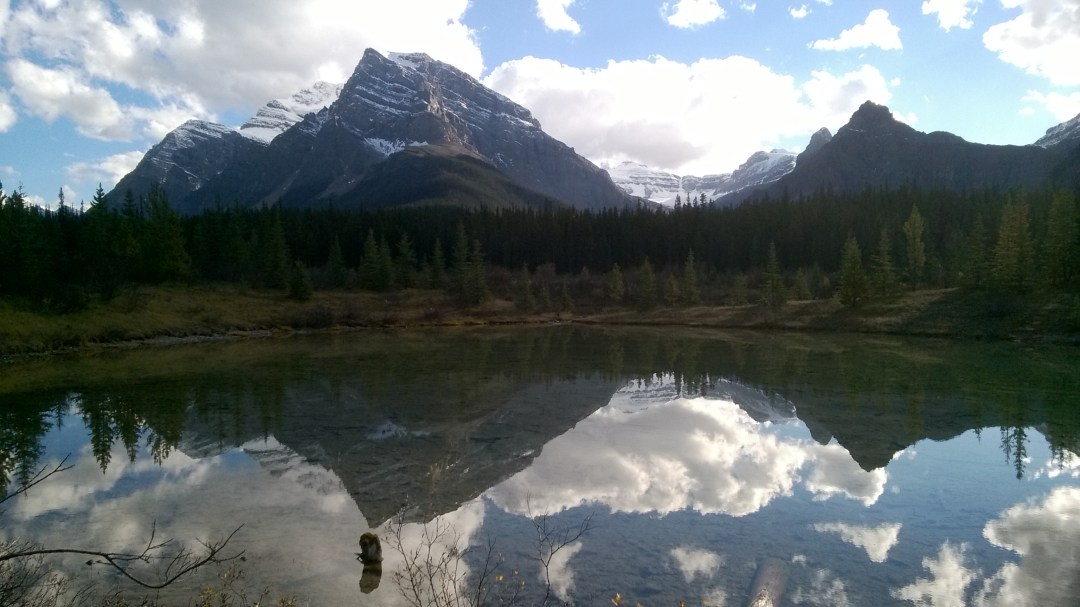 wp_20160928_17_02_25_pro