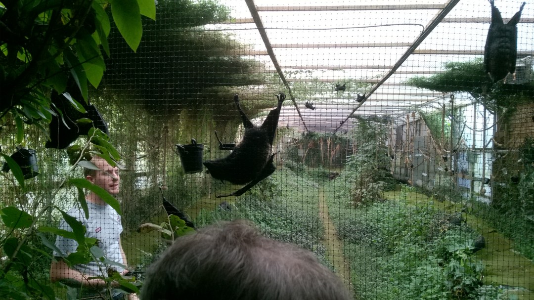 wp_20161022_15_07_18_pro