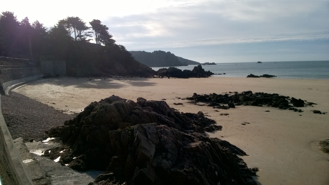 wp_20161023_10_29_32_pro