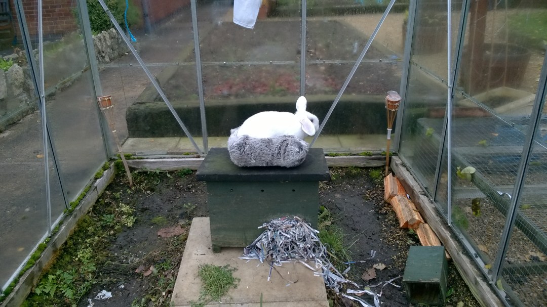 wp_20161122_14_10_38_pro1