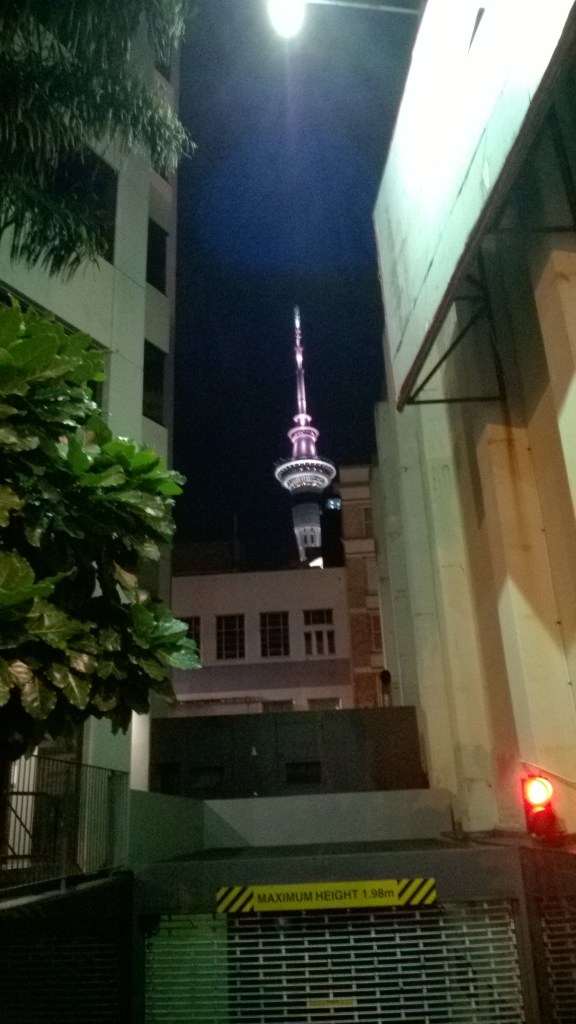 WP_20170504_05_50_47_Pro