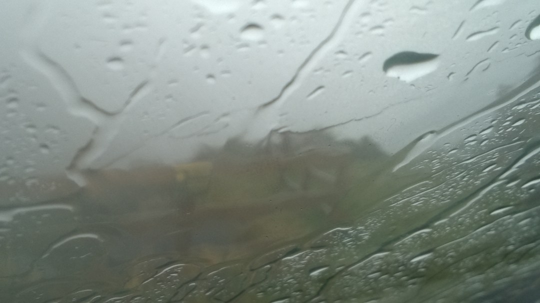 WP_20170511_10_22_18_Pro