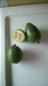 WP_20170515_15_21_25_Pro