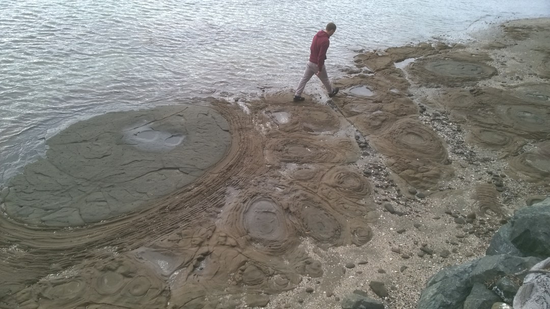 WP_20170516_09_50_02_Pro