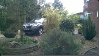 WP_20180408_13_38_02_Pro[1]