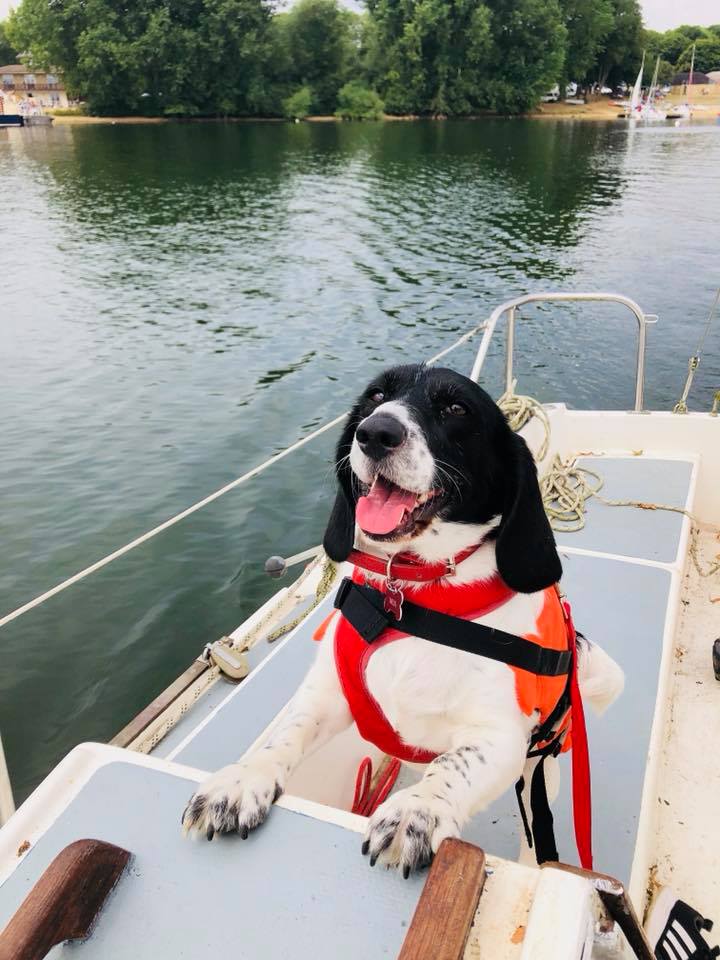 37764513_10155745527615823_4036424094575493120_n