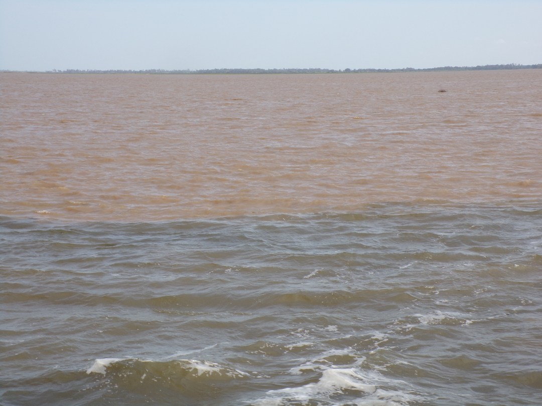 KODAK Digital Still Camera