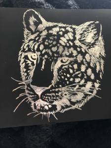 91521841_550202692280006_2818909627616329728_n