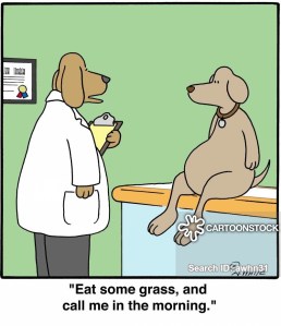 'Eat some grass, and call me in the morning.'