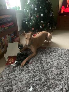 I found it like this, honest!